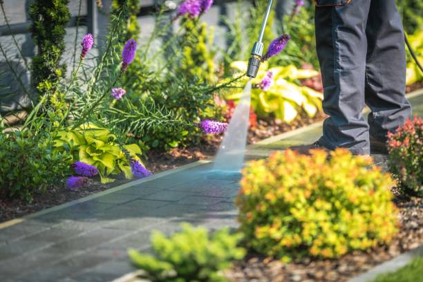 Trusted Wallington, NJ Pressure Washing Services Experts